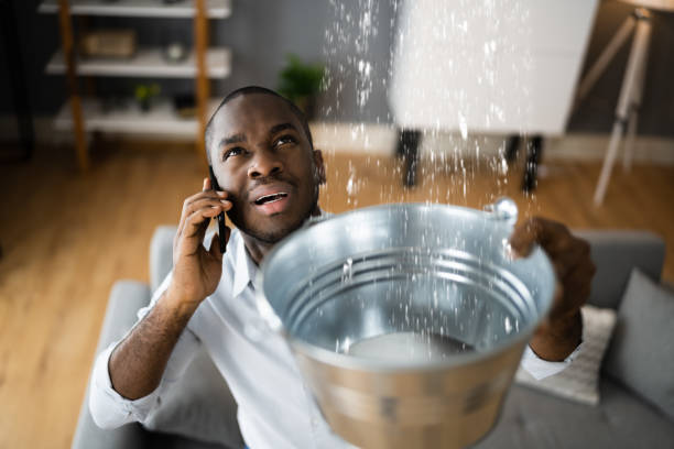 Best Professional water damage repair  in Weatherford, TX