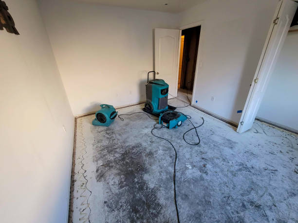 Best Ceiling water damage repair  in Weatherford, TX