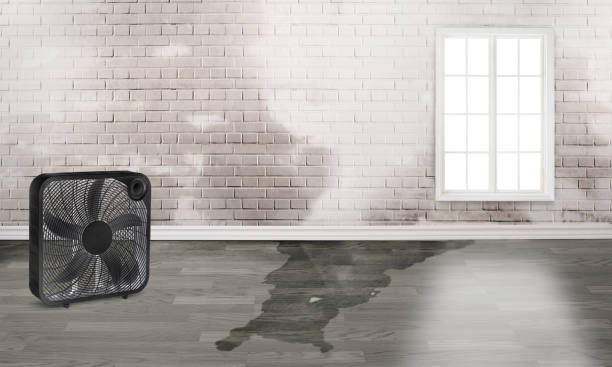 Best 24-hour water damage restoration  in Weatherford, TX